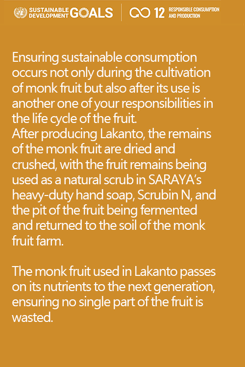 SDG 12: Ensure sustainable consumption and production patterns with Lakanto.