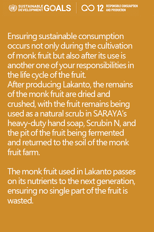 SDG 12: Ensure sustainable consumption and production patterns with Lakanto.