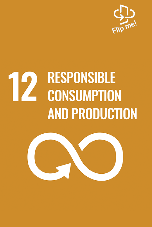 SDG 12: Ensure sustainable consumption and production patterns with Lakanto.
